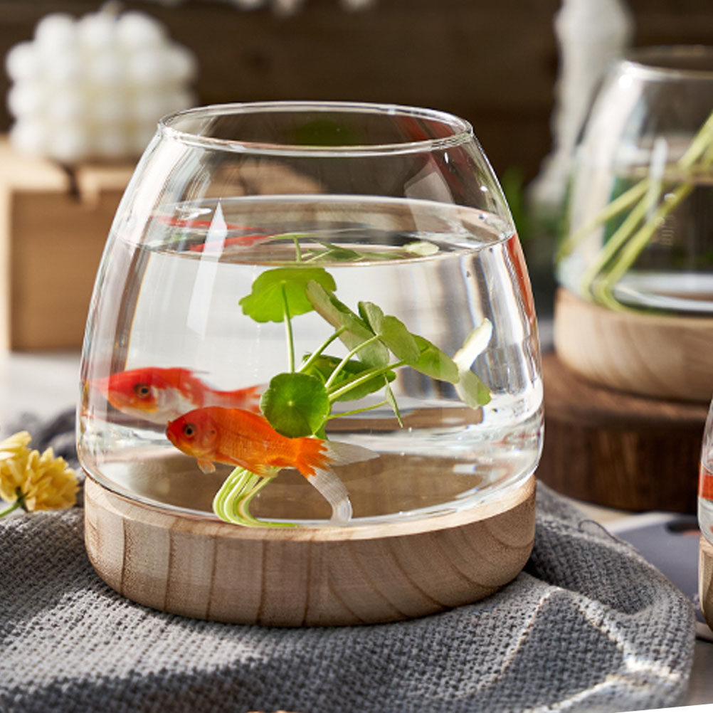 Aquarium Fish In Bowl - 1Set Premium Glass Hydroponic Plant Terrarium