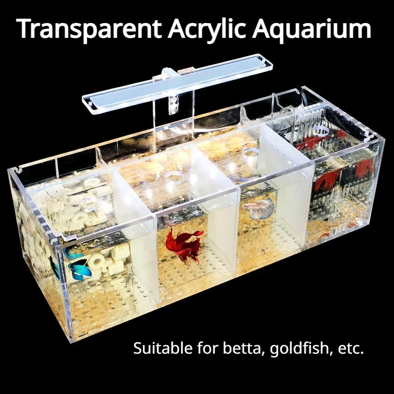 Aquarium Fish Goldfish - Acrylic Aquarium Isolation Fish Tank Multi-grid