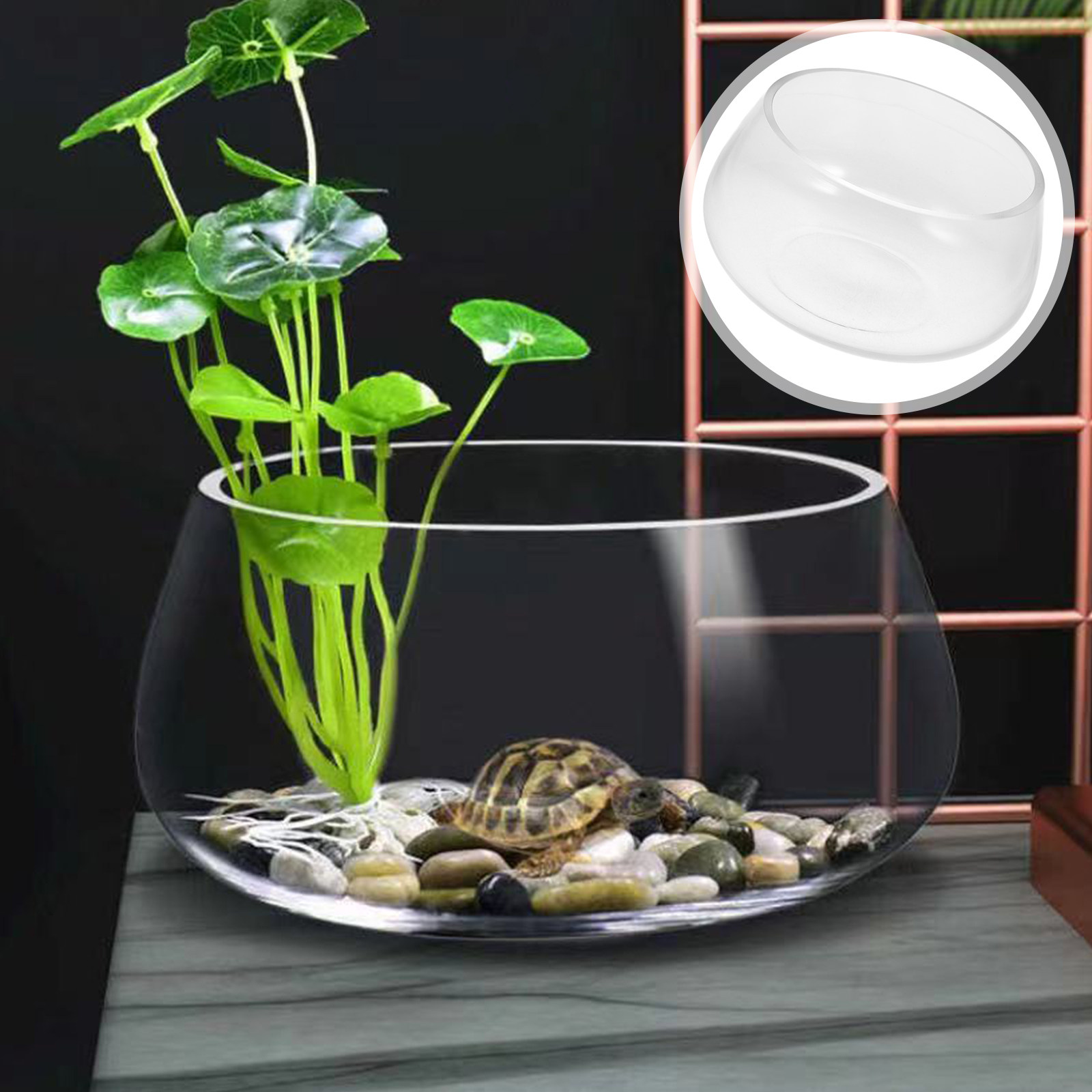 Aquarium Fish Goldfish - Round Mini Aquarium Tank Clear Glass