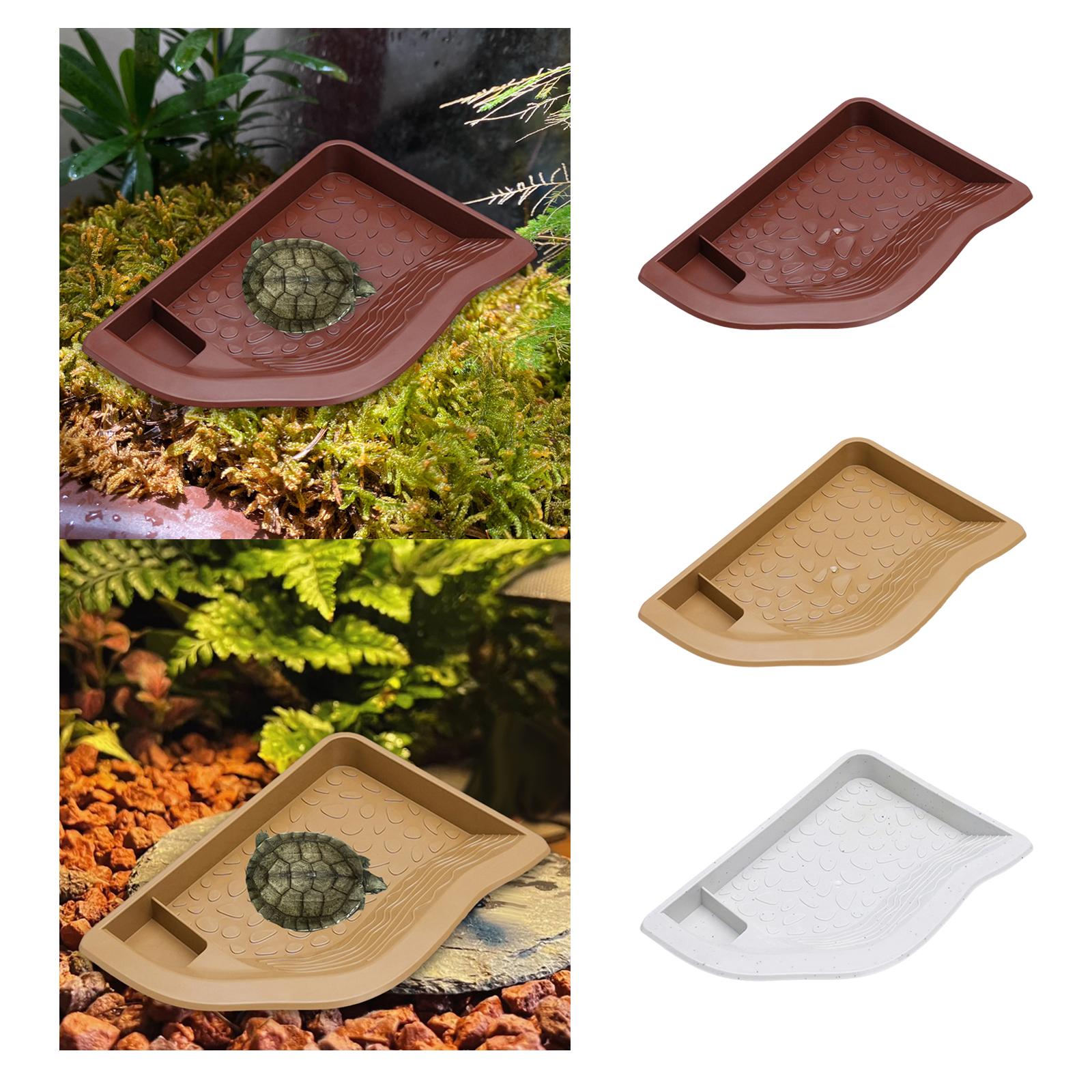 Aquarium Fish In Bowl - Reptile Pool Water Dish, Tortoise Feeding