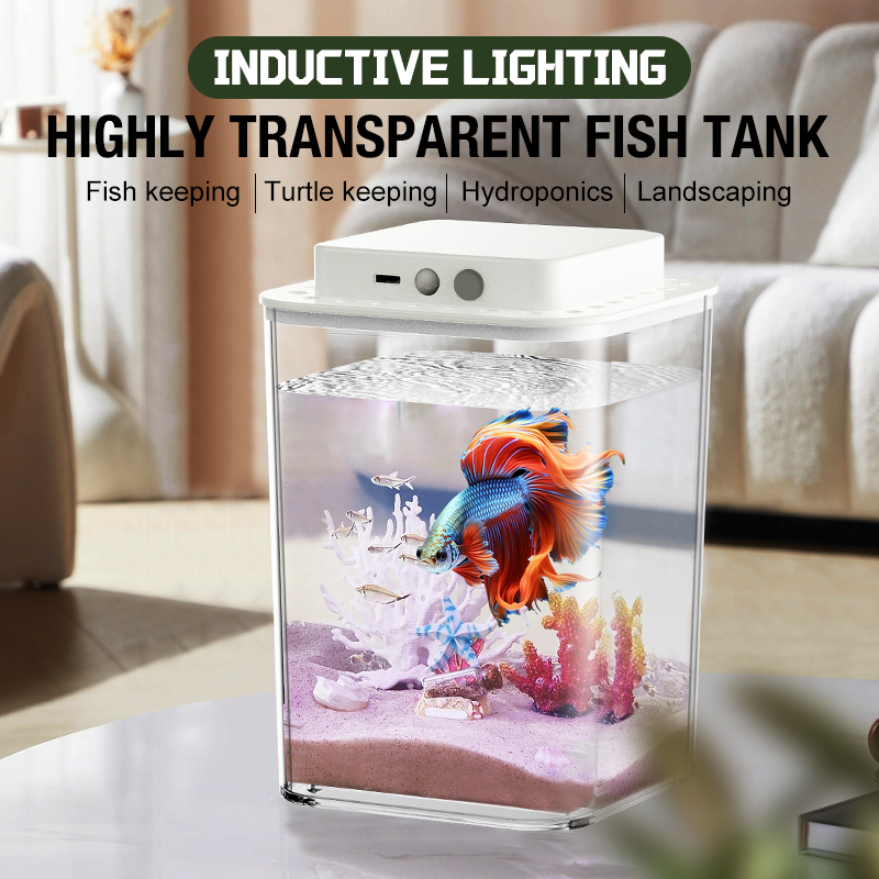 Aquarium Fish In Bowl - Desktop fish tank, new aquarium, lazy