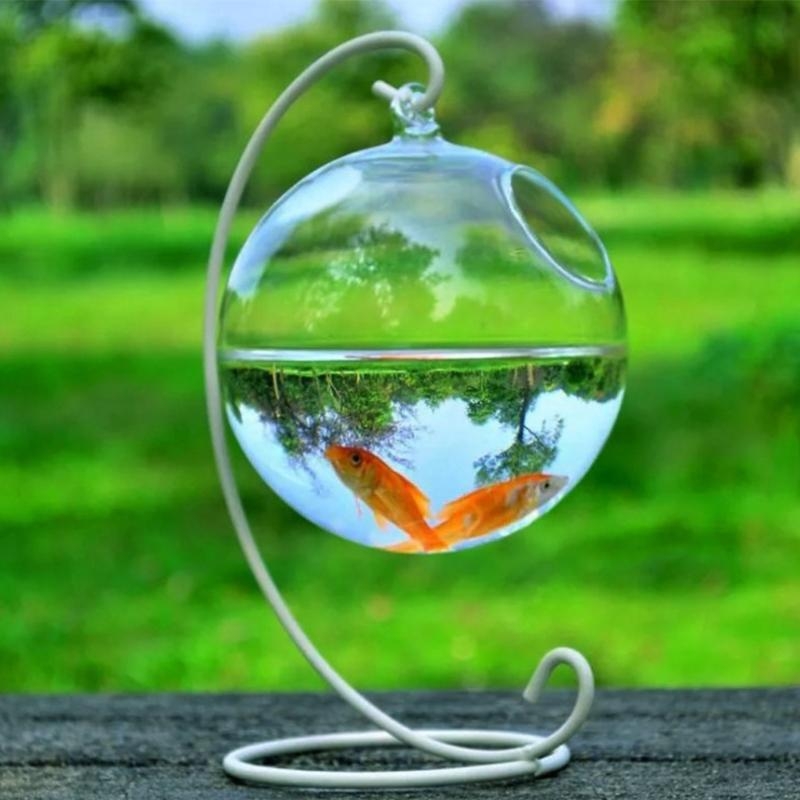 Aquarium Fish In Bowl - Transparent Spherical Glass Handmade Fish for