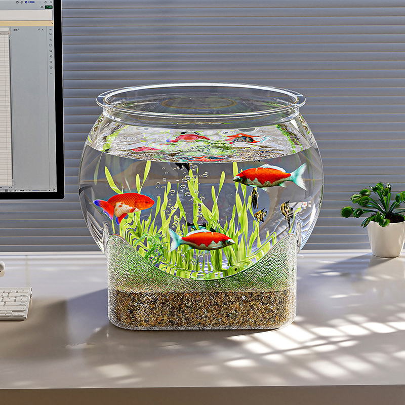 Aquarium Fish Goldfish - Fish Tank Aquarium Transparent Round Ornamental