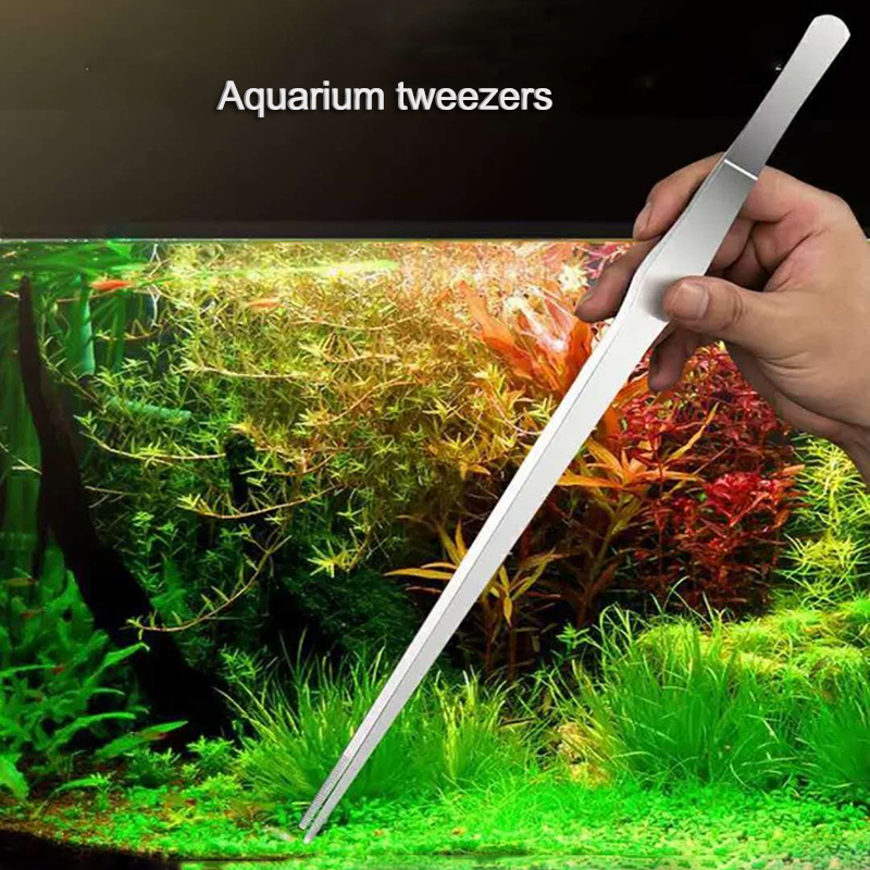Aquarium Fish Maintenance - 27cm 38cm Stainless Steel Curved Aquarium