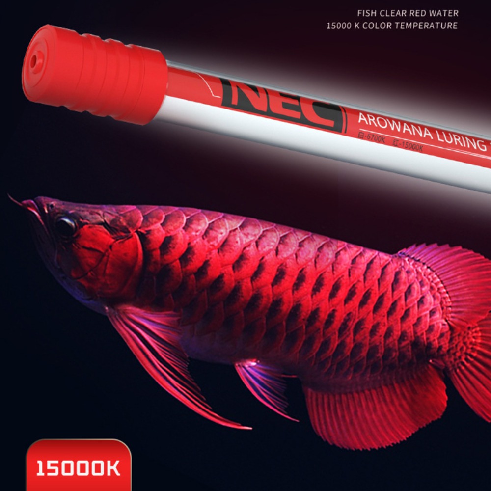 Aquarium Fish Youtube - NEC-Arowana Lamp Color Brightening, 6700K and