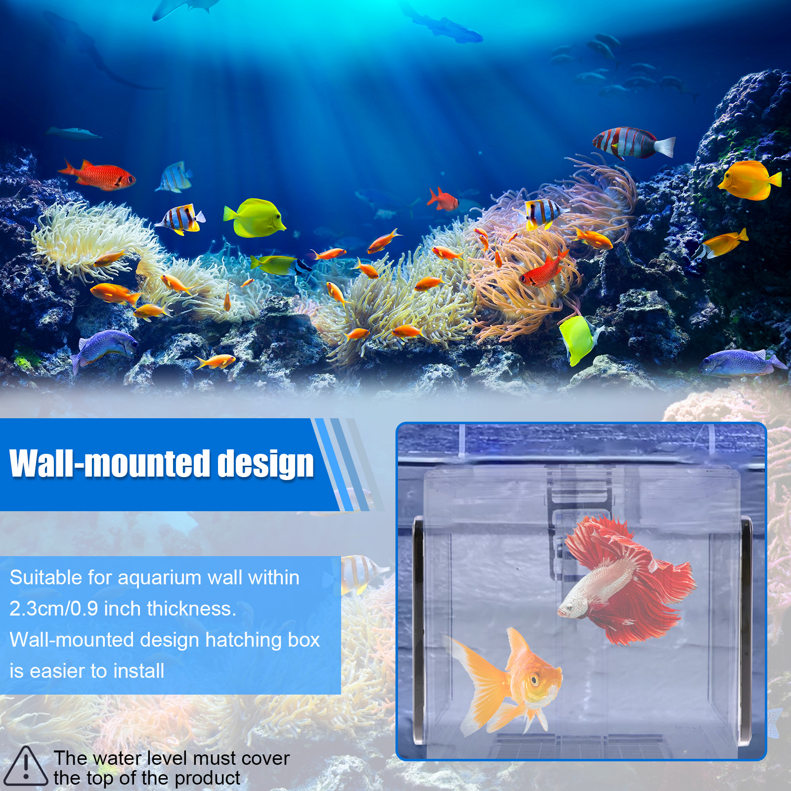 Aquarium Breeder Box Fish Bree - Aquarium Fish In Bowl recensione e prezzo