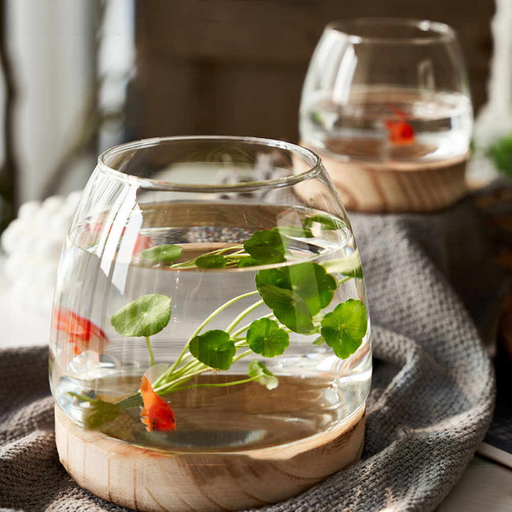 1Set Premium Glass Hydroponic  - Aquarium Fish In Bowl recensione e prezzo