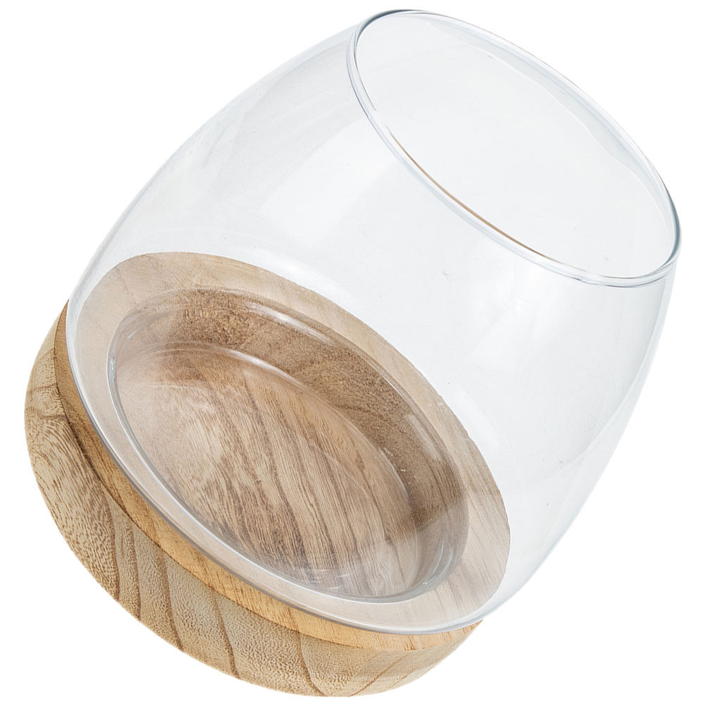 1Set Premium Glass Hydroponic  - Aquarium Fish In Bowl recensione e prezzo