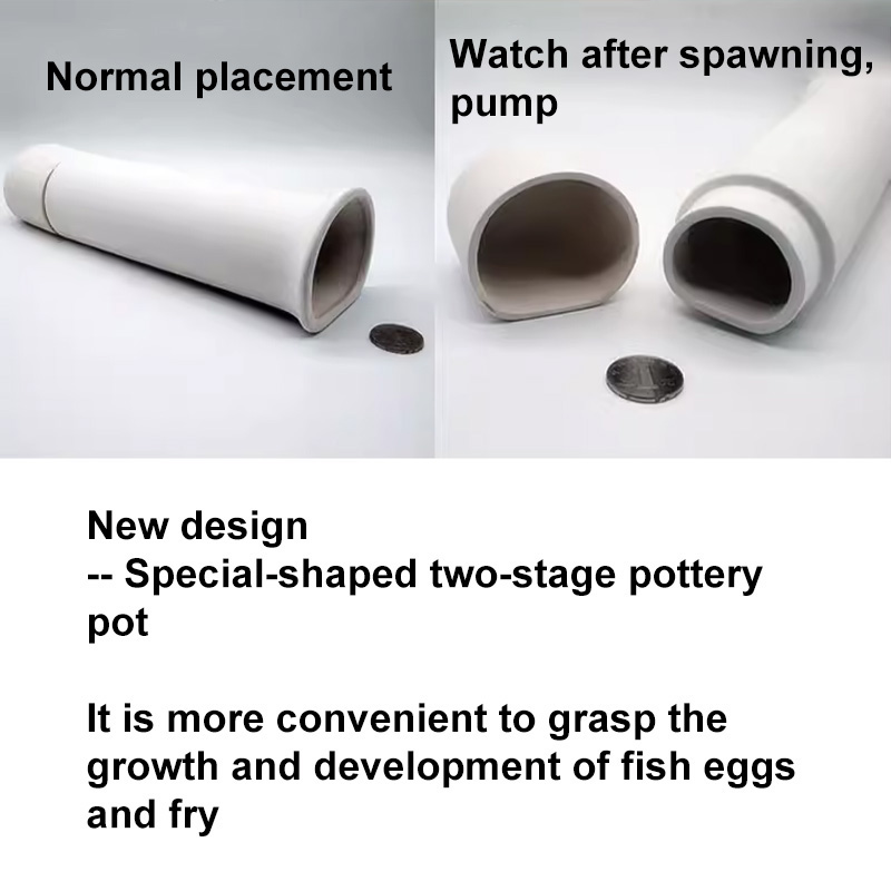 For Fish Shrimp Fish Tank Deco - Aquarium Fish Cartoon recensione e prezzo