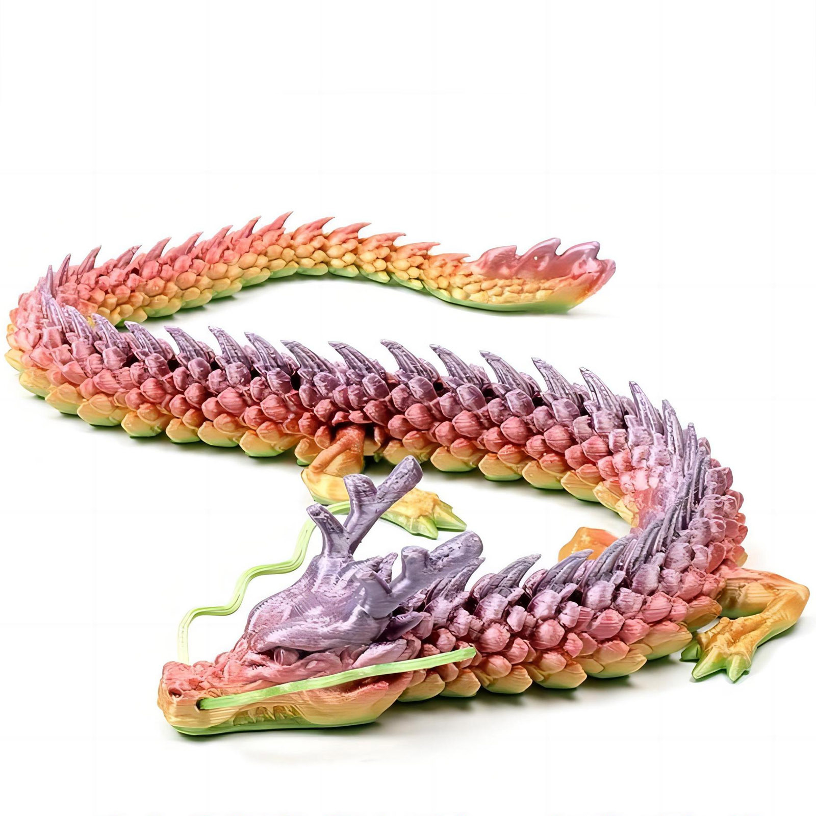3D Printed Conjoined Dragon Or - Aquarium Fish Cartoon recensione e prezzo