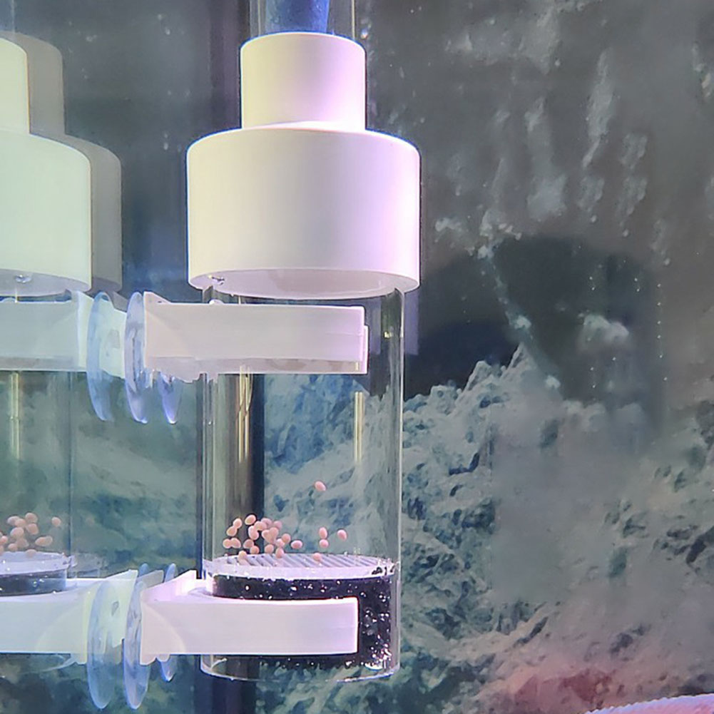 40mm Tumbler Incubator Fish Ha - Aquarium Fish Cichlid recensione e prezzo