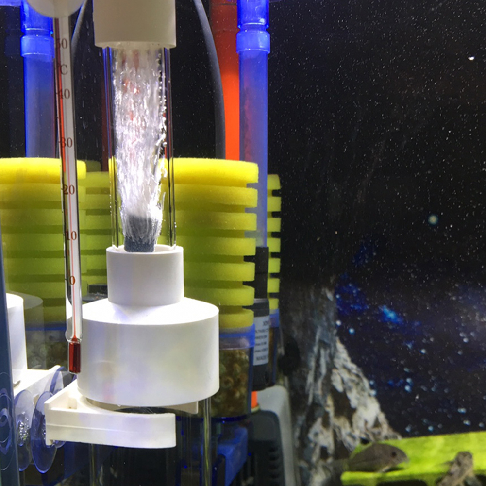 40mm Tumbler Incubator Fish Ha - Aquarium Fish Cichlid recensione e prezzo