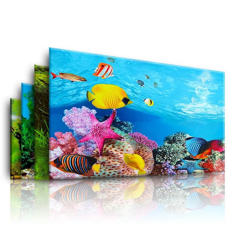 Background for Aquarium 3d  St - Aquarium Fish Cartoon recensione e prezzo