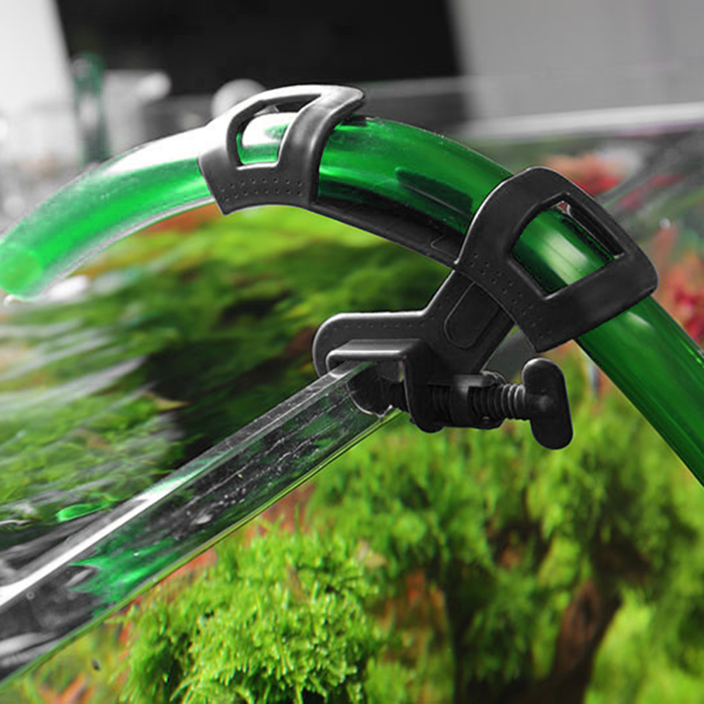 Aquarium Filtration Holder Wat - Aquarium Fish Youtube recensione e prezzo