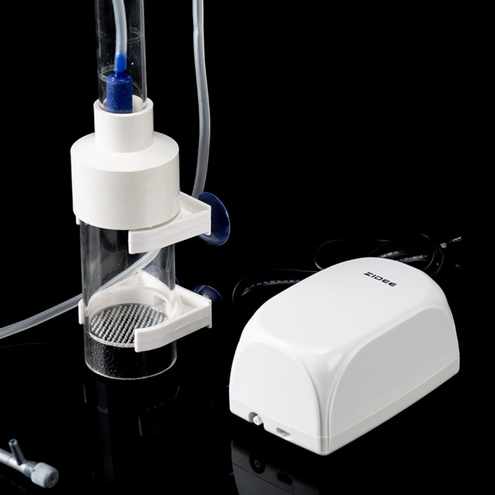 40mm Incubator Fish Hatchery E - Aquarium Fish Cichlid recensione e prezzo