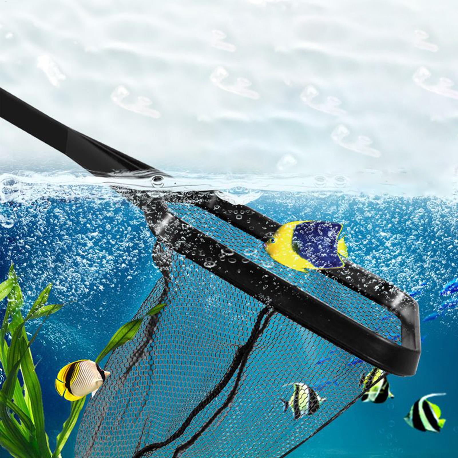 Pool Net Fish Tank Salvage Net - Aquarium Fish Maintenance recensione e prezzo
