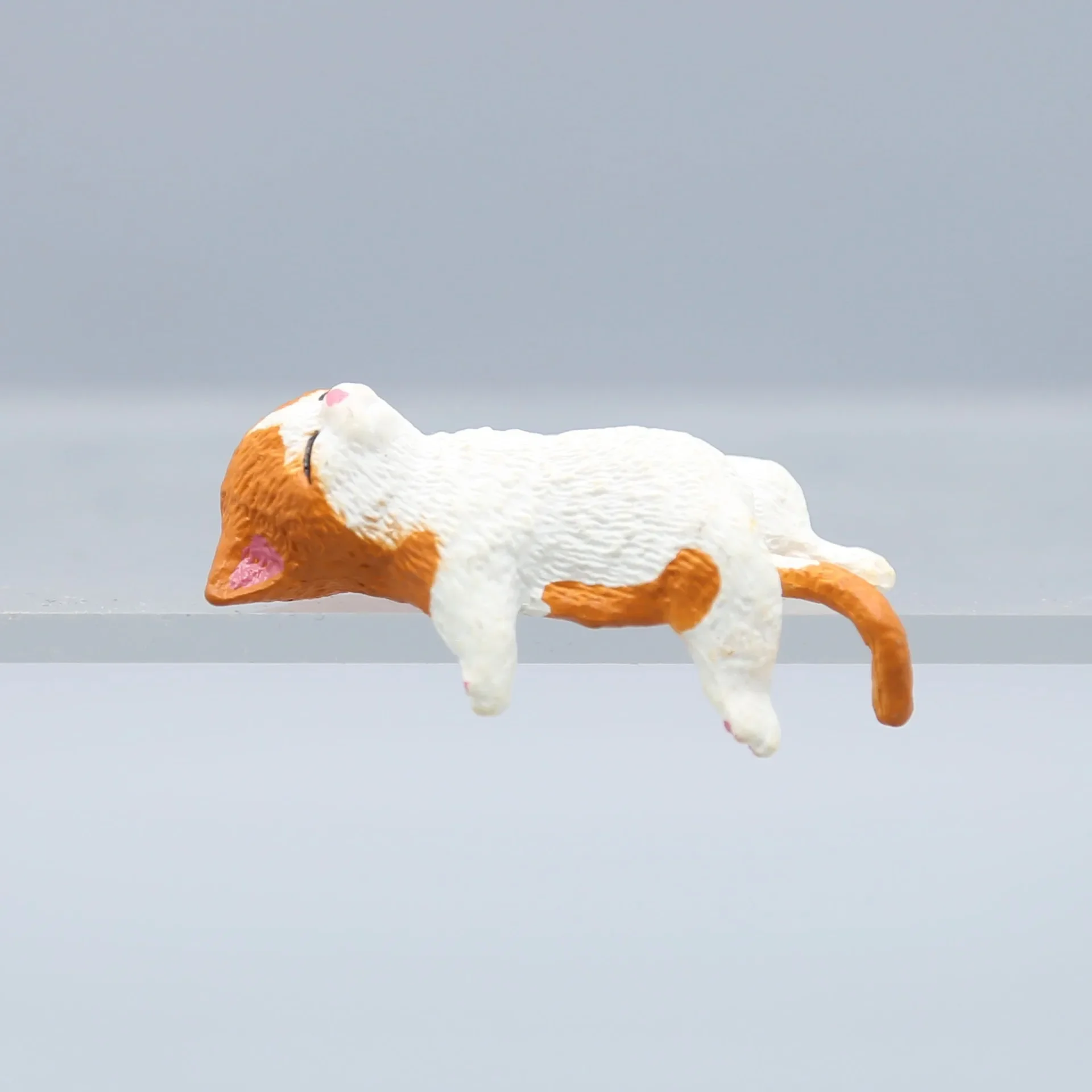 Cute Cartoon Cat Decor PVC Hom - Aquarium Fish Cartoon recensione e prezzo