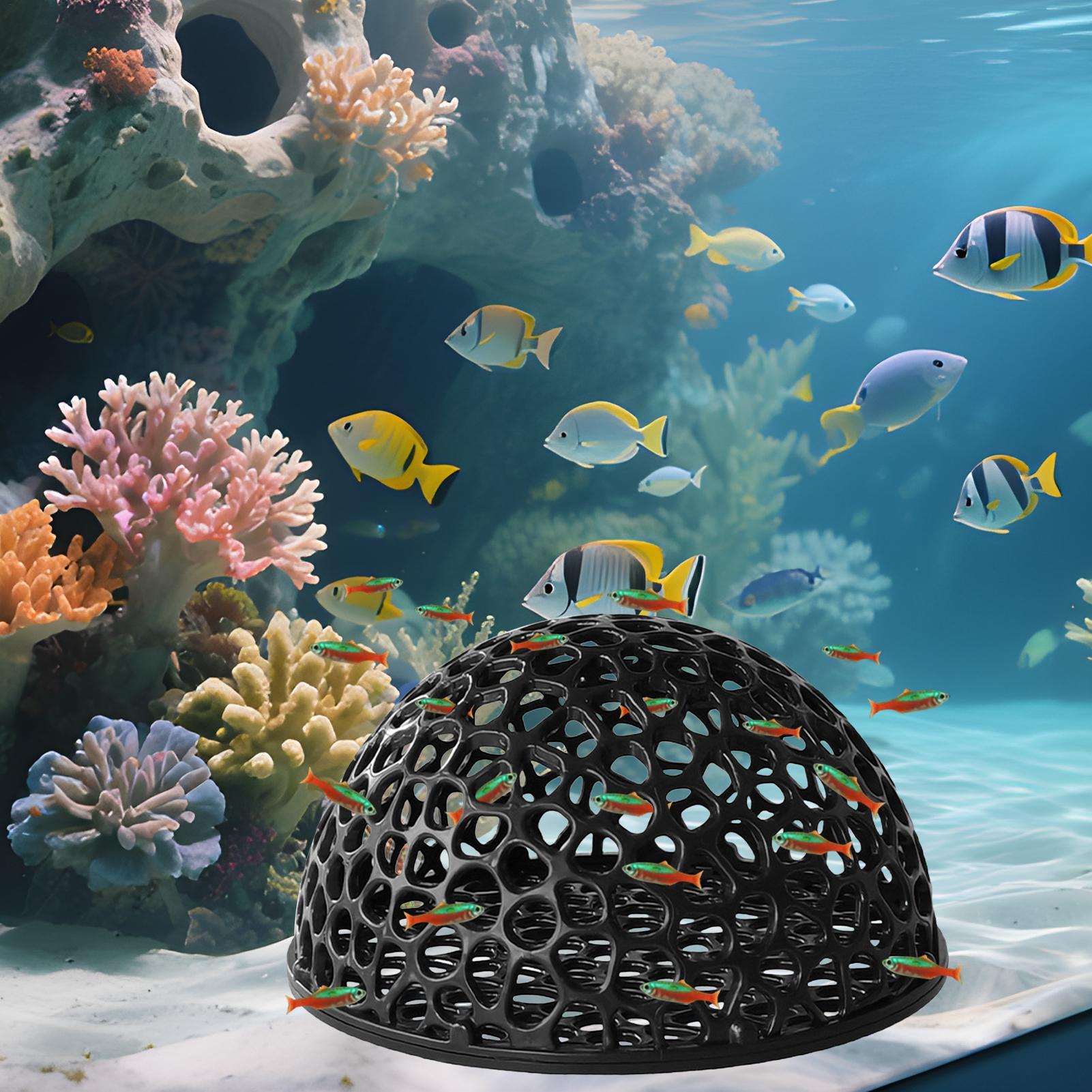 Shrimp Breeding Cave fish tank - Aquarium Fish Cichlid recensione e prezzo