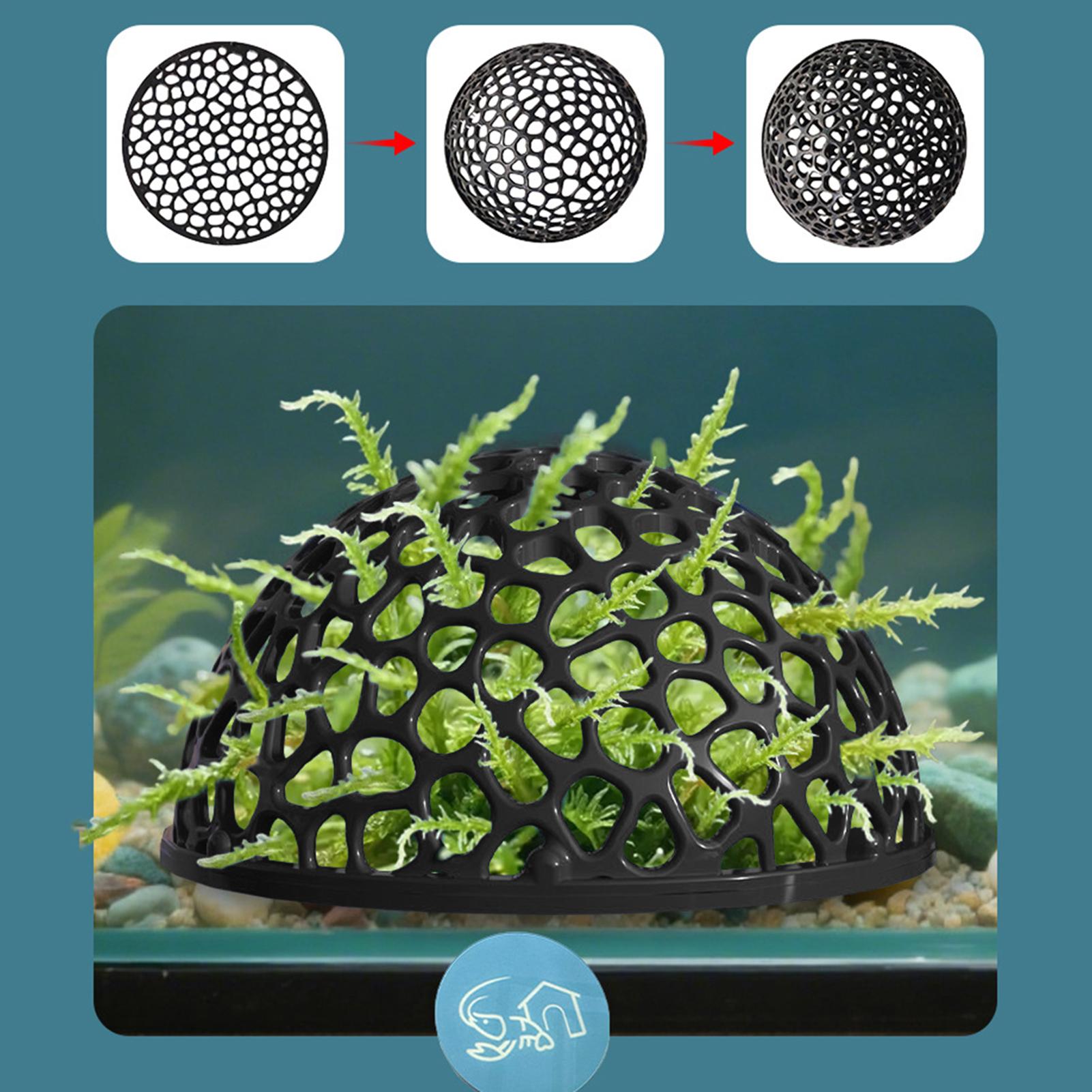 Shrimp Breeding Cave fish tank - Aquarium Fish Cichlid recensione e prezzo