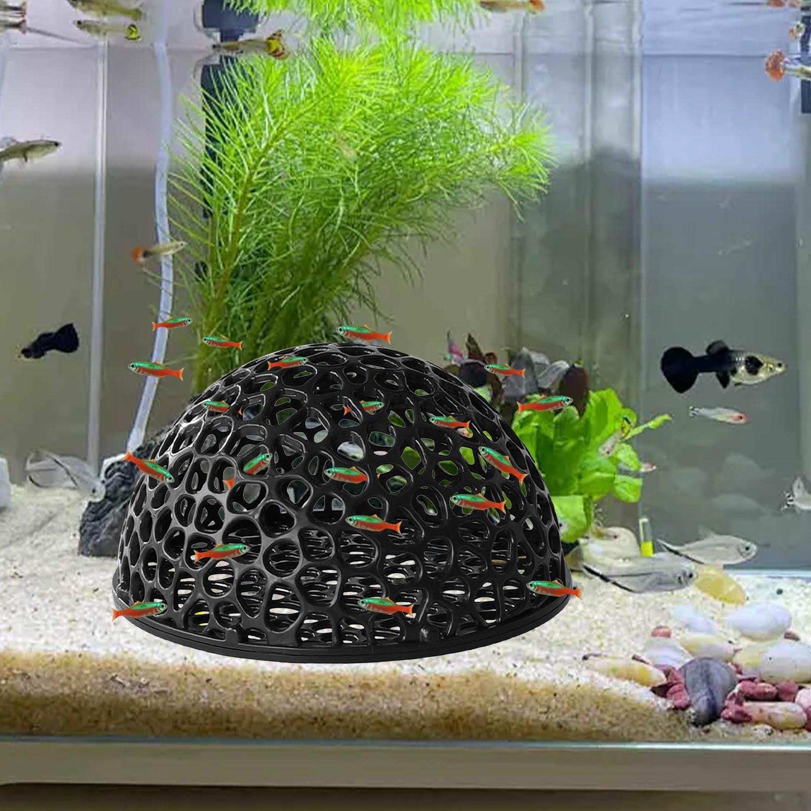 Shrimp Breeding Cave fish tank - Aquarium Fish Cichlid recensione e prezzo