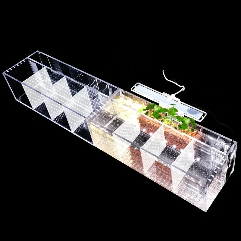 Acrylic Aquarium Isolation Fis - Aquarium Fish Goldfish recensione e prezzo