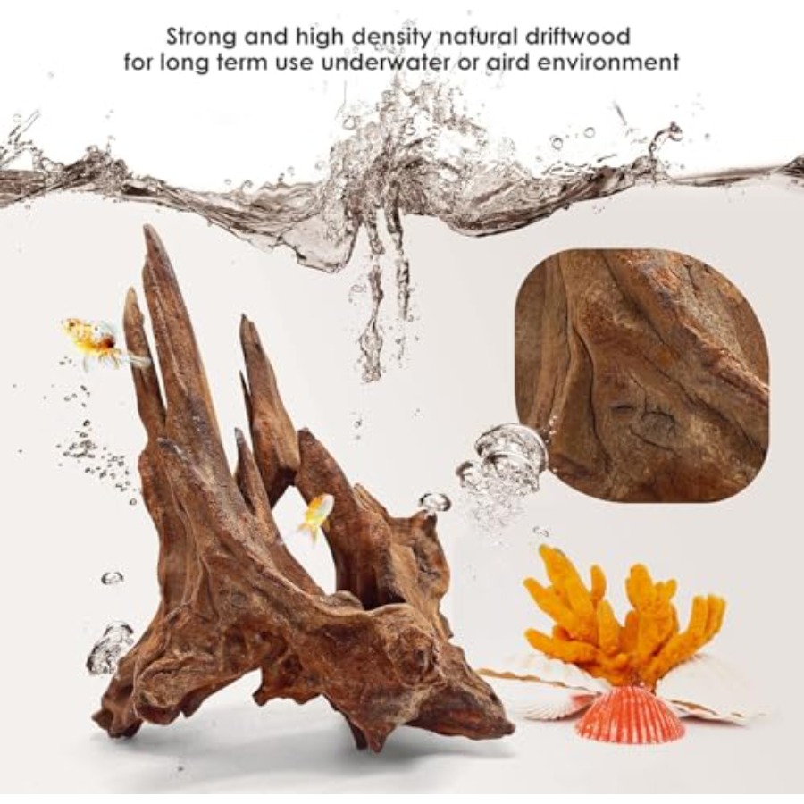 Natural Aquarium for Fish Tank - Aquarium Fish Unique recensione e prezzo