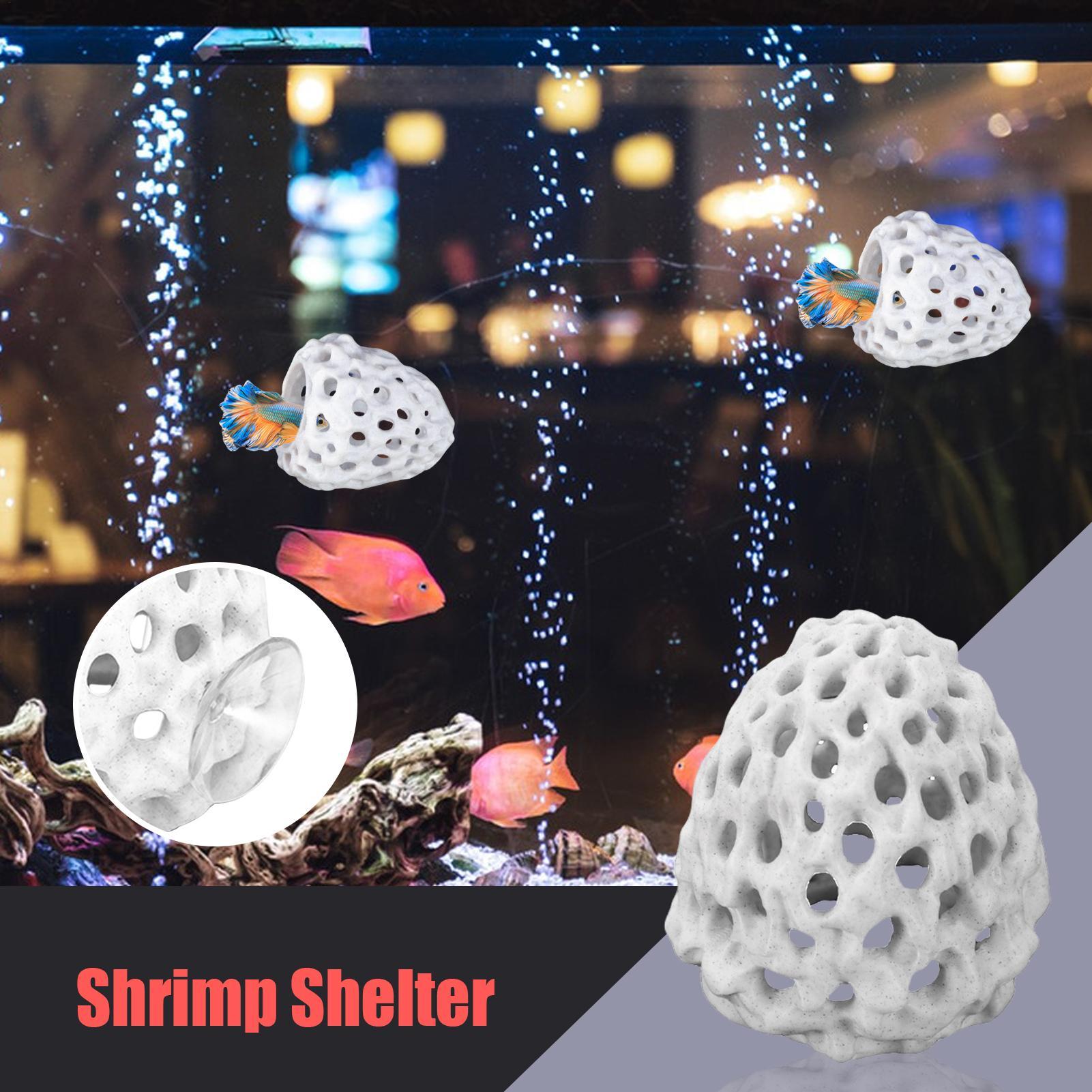 Small Aquarium shrimp house Ca - Aquarium Fish In Bowl recensione e prezzo