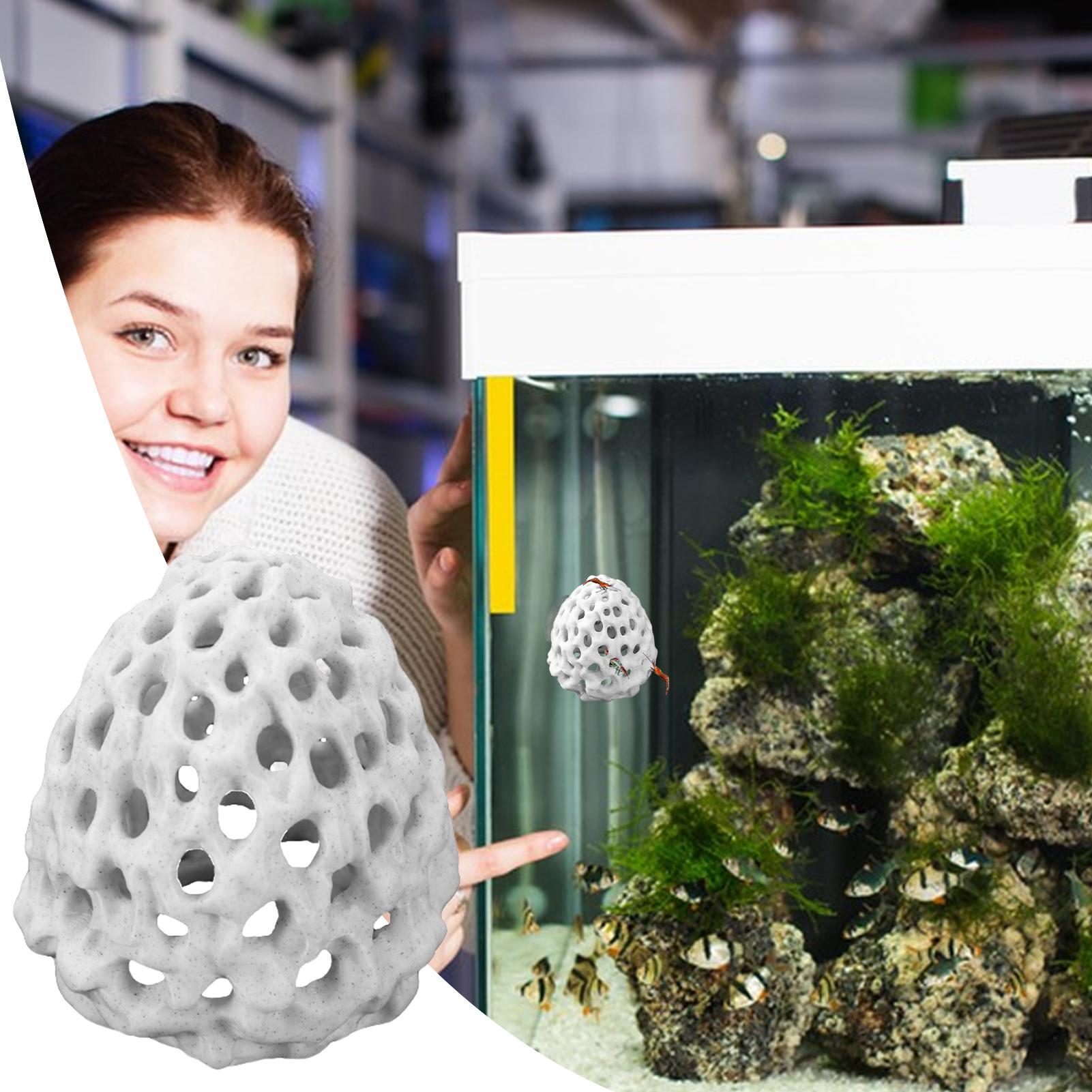 Small Aquarium shrimp house Ca - Aquarium Fish In Bowl recensione e prezzo