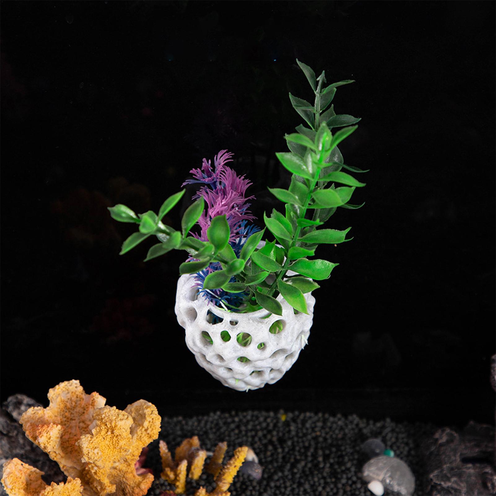 Small Aquarium shrimp house Ca - Aquarium Fish In Bowl recensione e prezzo