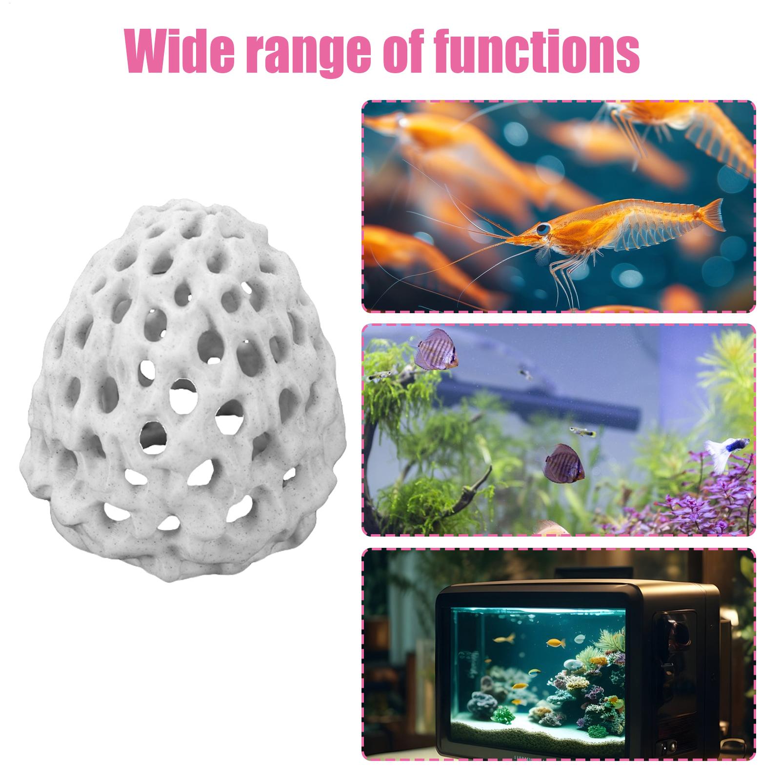 Small Aquarium shrimp house Ca - Aquarium Fish In Bowl recensione e prezzo