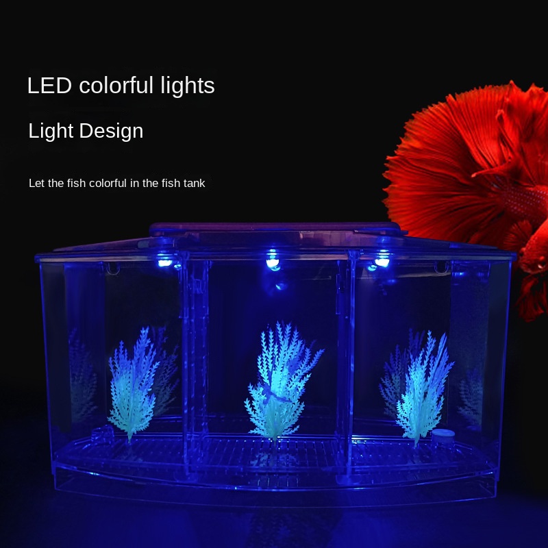 Mini Small Fish Tank Aquarium, - Aquarium Fish In Bowl recensione e prezzo