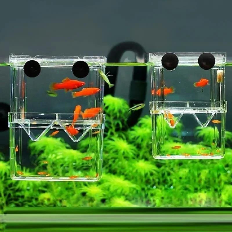 Transparent Fish Aquarium High - Aquarium Fish In Bowl recensione e prezzo