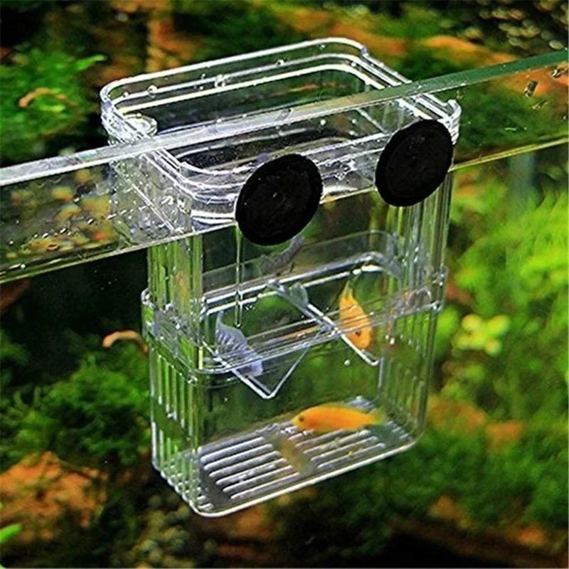 Transparent Fish Aquarium High - Aquarium Fish In Bowl recensione e prezzo