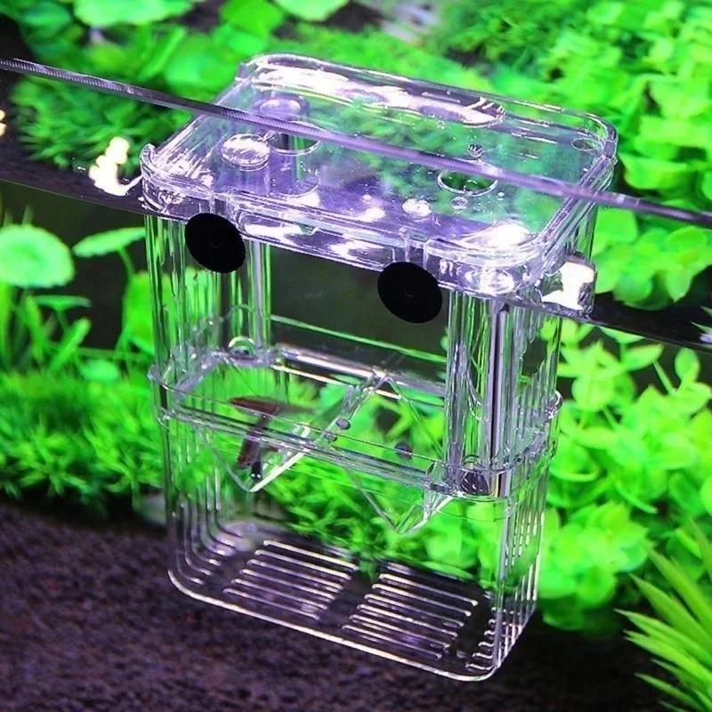 Transparent Fish Aquarium High - Aquarium Fish In Bowl recensione e prezzo