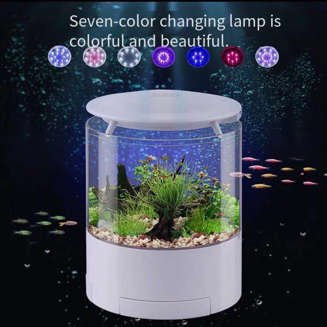 Round colorful lights desktop  - Aquarium Fish Goldfish recensione e prezzo