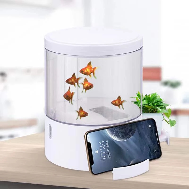 Round colorful lights desktop  - Aquarium Fish Goldfish recensione e prezzo