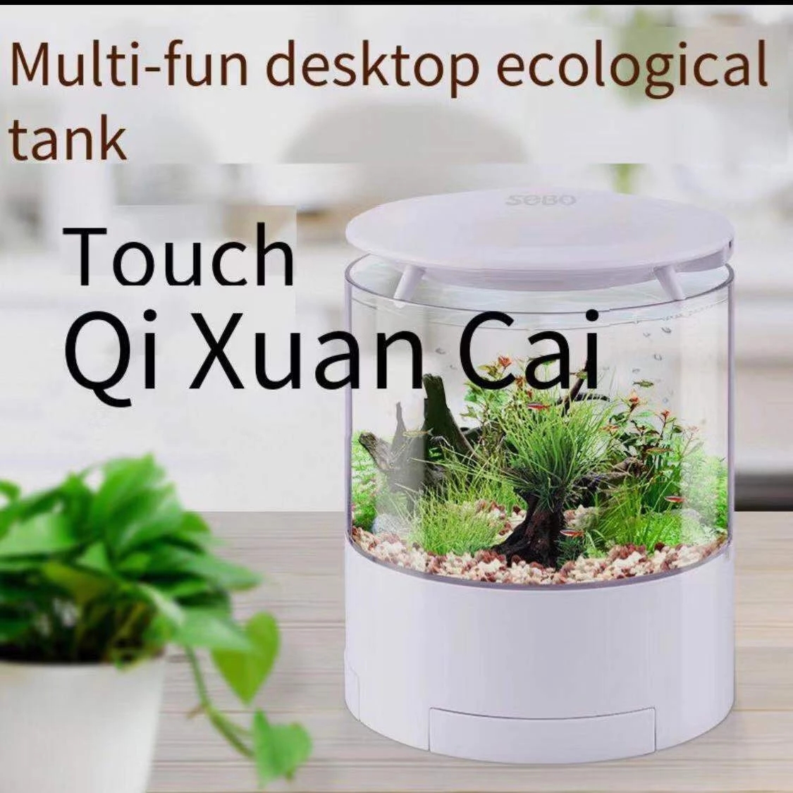Round colorful lights desktop  - Aquarium Fish Goldfish recensione e prezzo