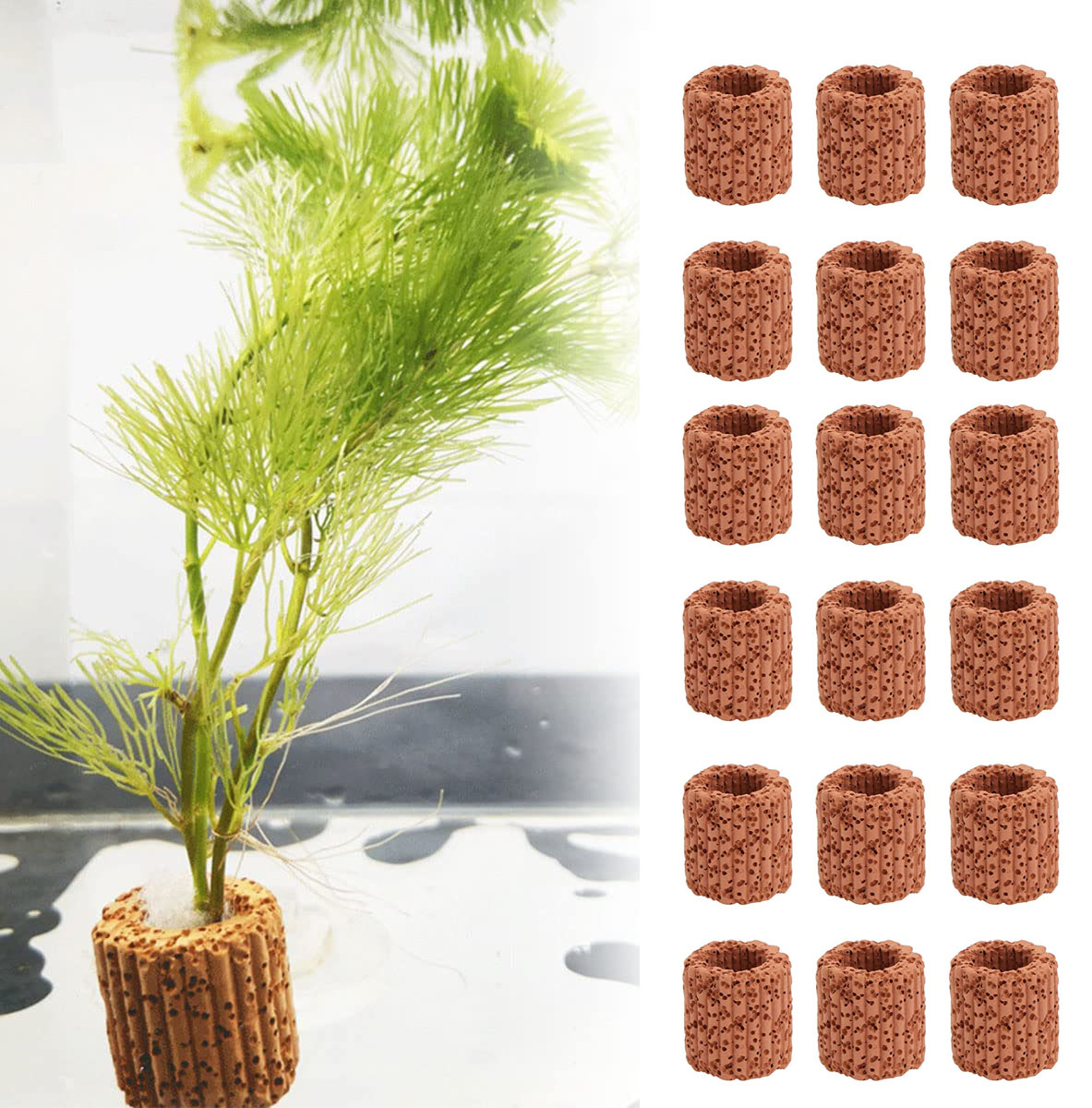 10/20Pcs Aquatic Water Plant F - Aquarium Fish Cartoon recensione e prezzo