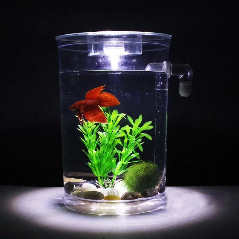 Lazy Free Water Change Desktop - Aquarium Fish Goldfish recensione e prezzo
