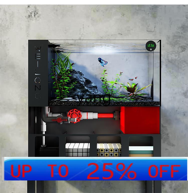 Lhh living room small fish tan - Aquarium Fish Goldfish recensione e prezzo