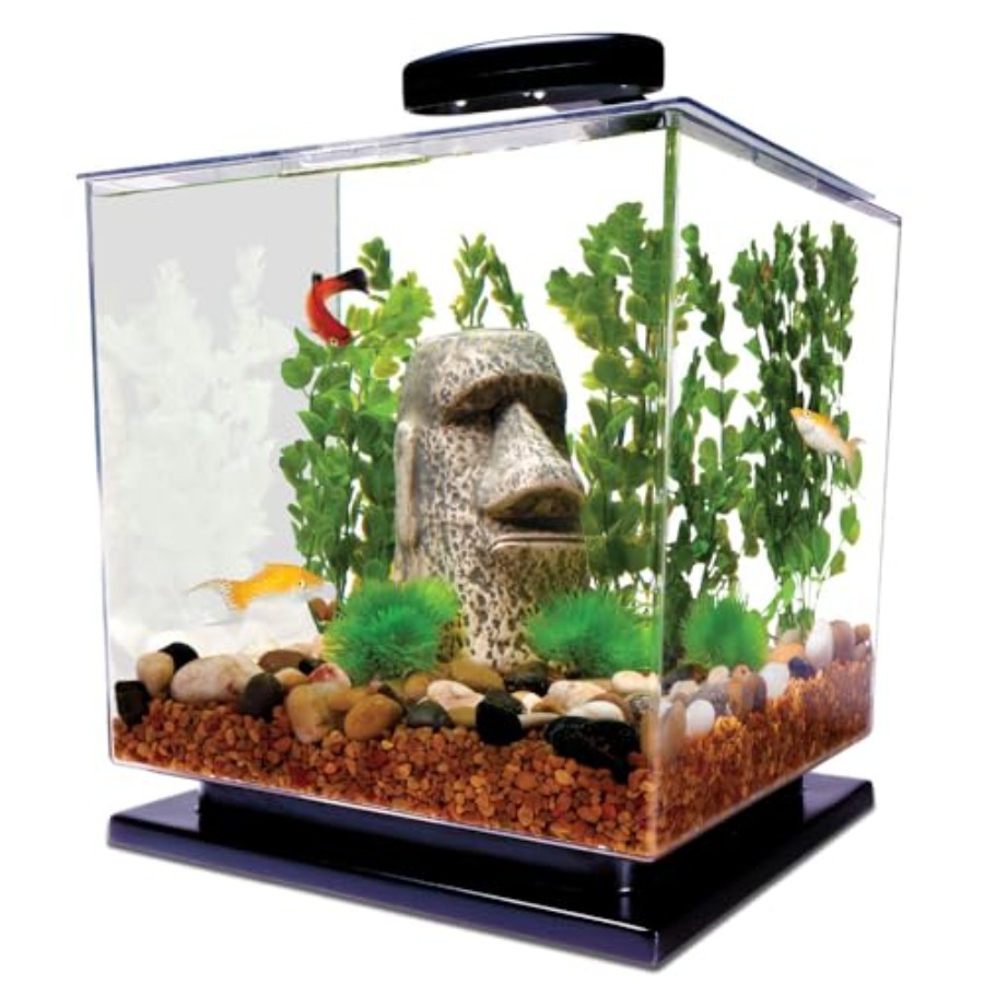 3 Gallon Fish Tank Aquarium St - Aquarium Fish Goldfish recensione e prezzo