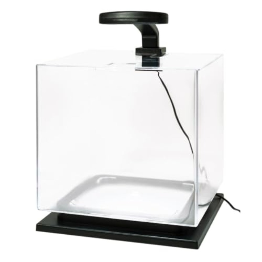 3 Gallon Fish Tank Aquarium St - Aquarium Fish Goldfish recensione e prezzo