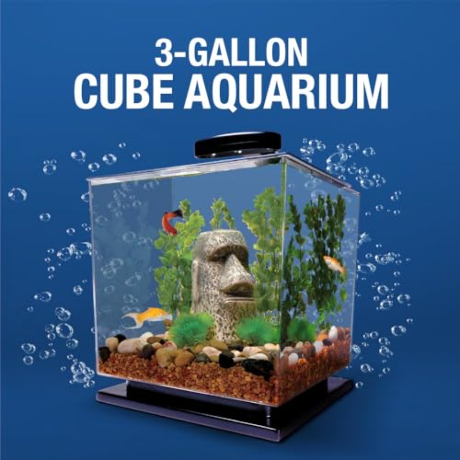 3 Gallon Fish Tank Aquarium St - Aquarium Fish Goldfish recensione e prezzo