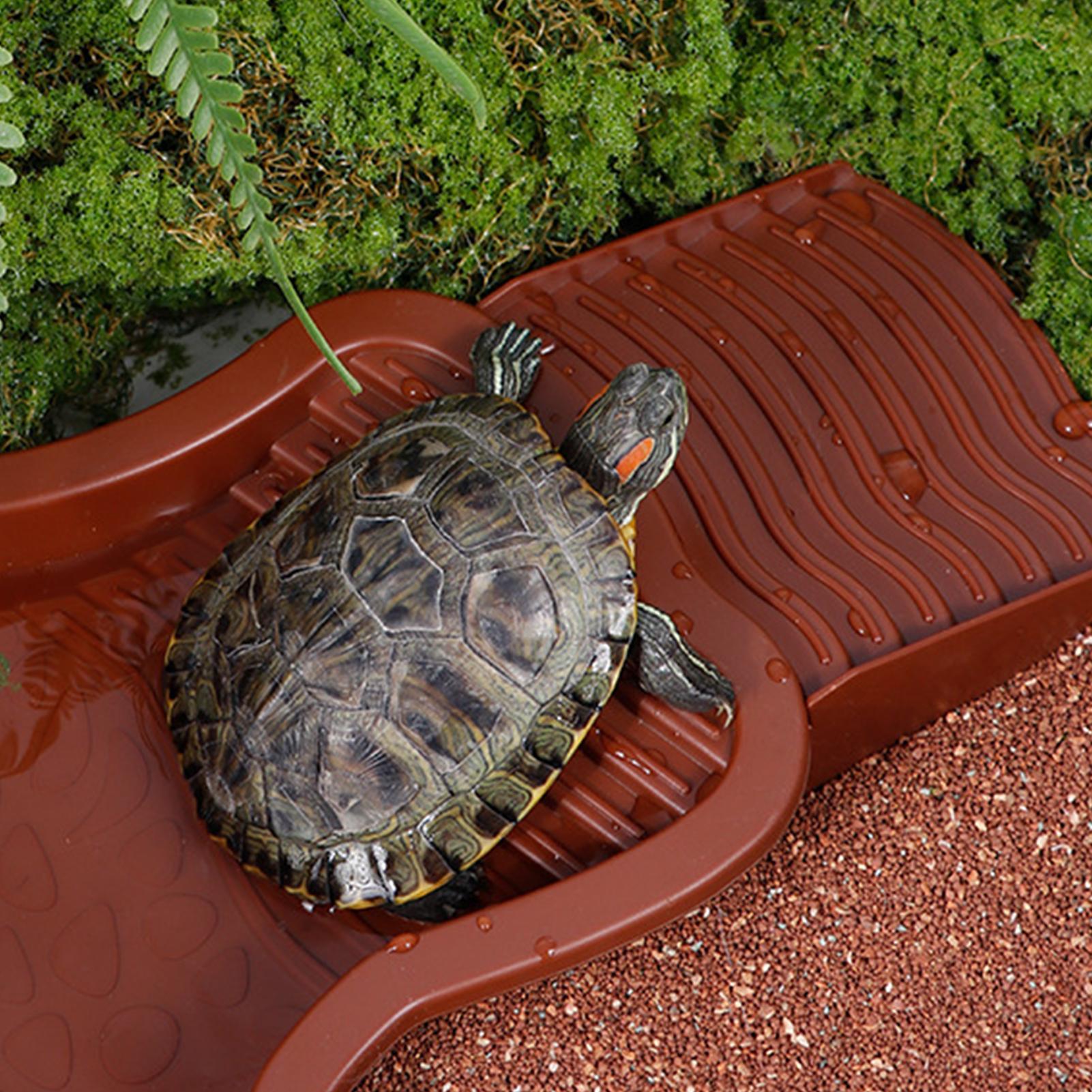 Reptile Bathing Pool Aquarium  - Aquarium Fish In Bowl recensione e prezzo
