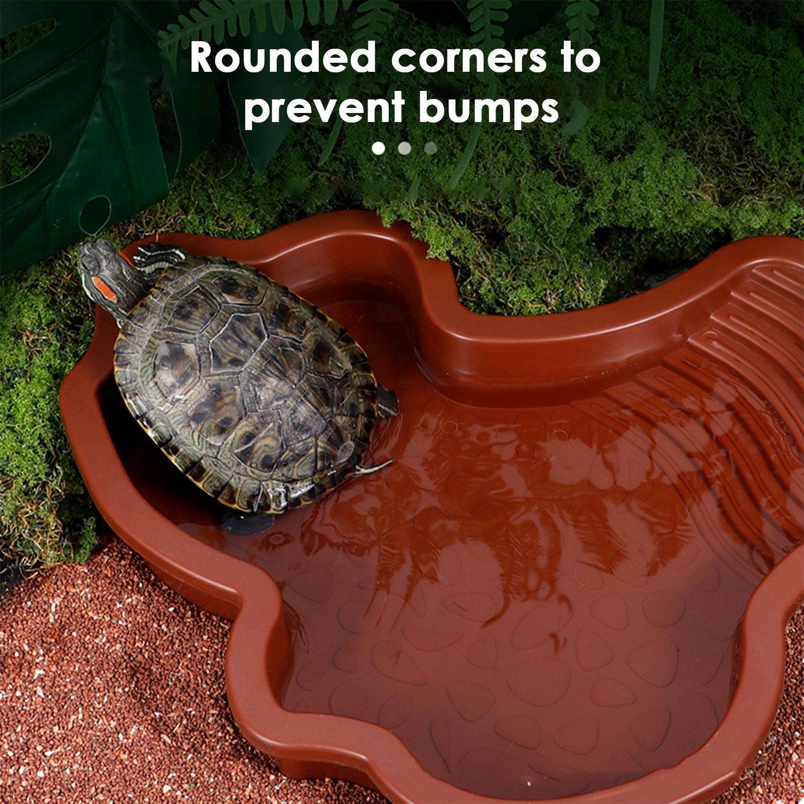 Reptile Bathing Pool Aquarium  - Aquarium Fish In Bowl recensione e prezzo