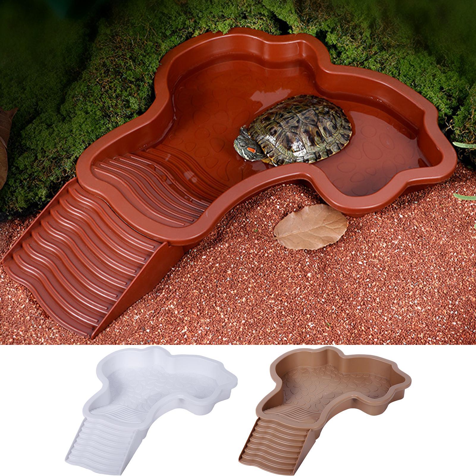 Reptile Bathing Pool Aquarium  - Aquarium Fish In Bowl recensione e prezzo