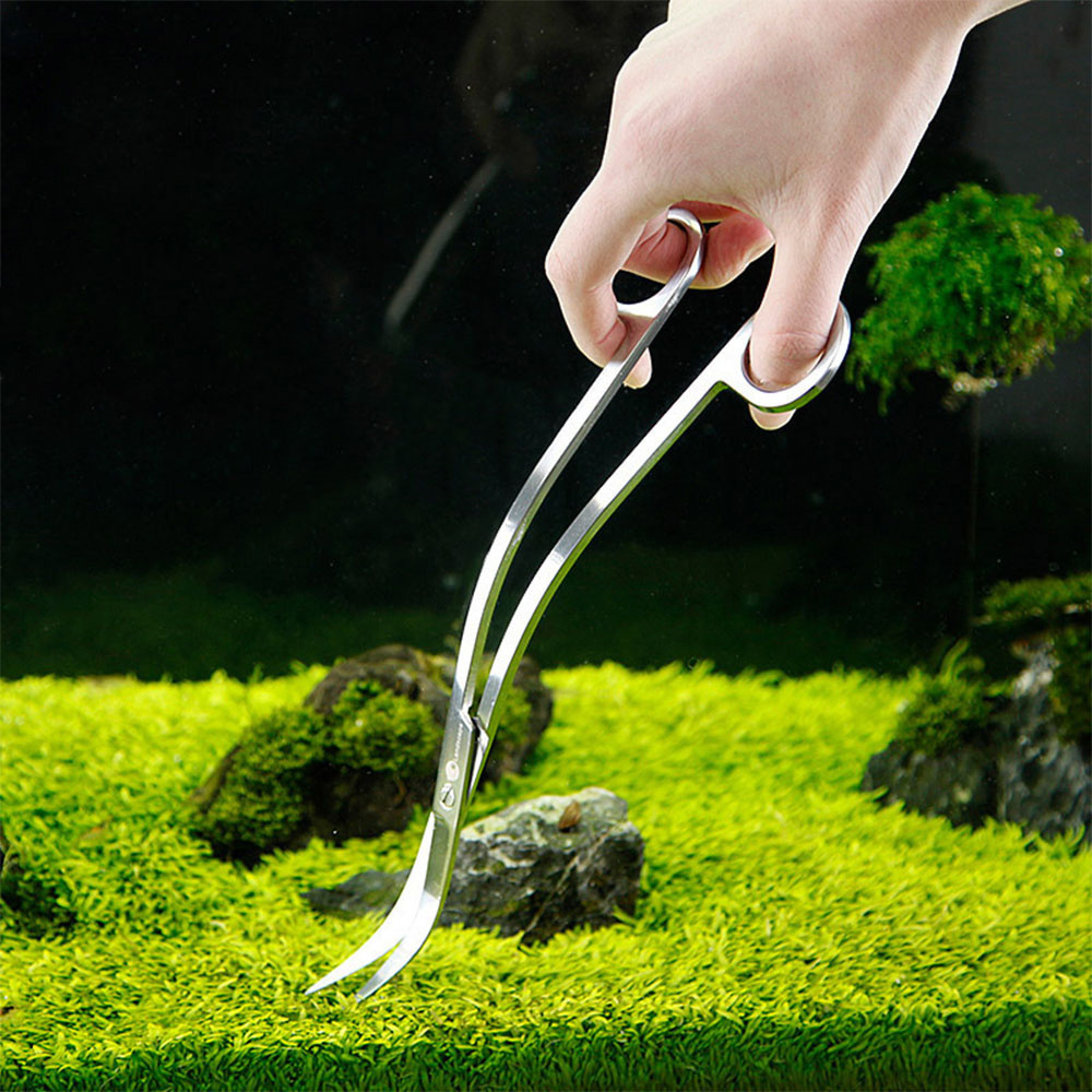 Aquarium Accessories Hard Stai - Aquarium Fish Maintenance recensione e prezzo