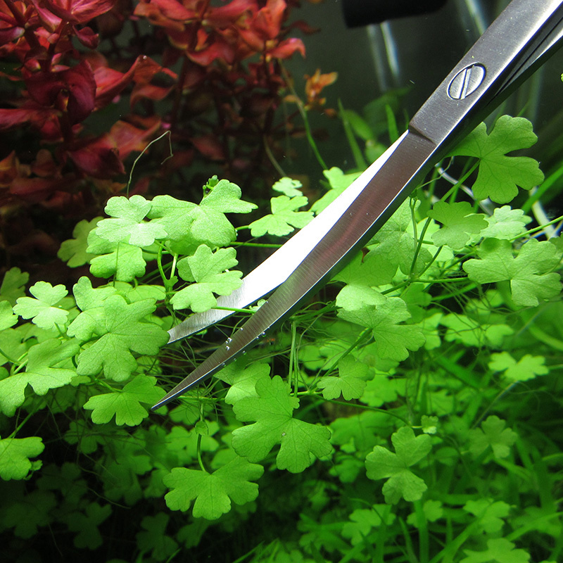 Aquarium Accessories Hard Stai - Aquarium Fish Maintenance recensione e prezzo