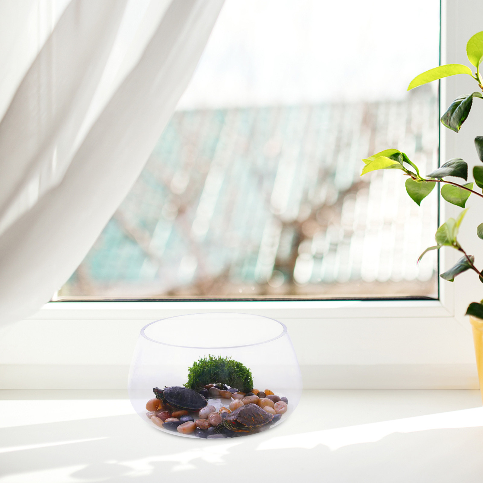 Round Mini Aquarium Tank Clear - Aquarium Fish Goldfish recensione e prezzo