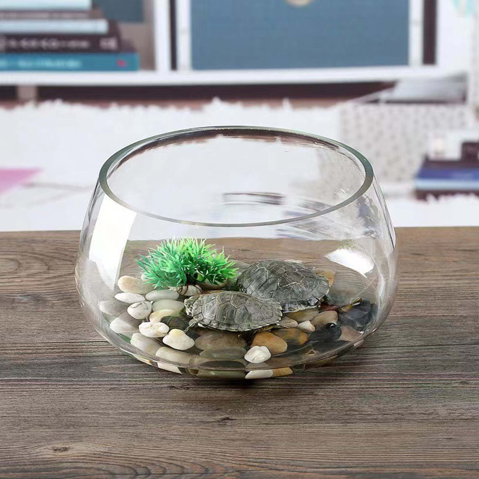 Round Mini Aquarium Tank Clear - Aquarium Fish Goldfish recensione e prezzo